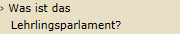 Was ist das Lehrlingsparlament?